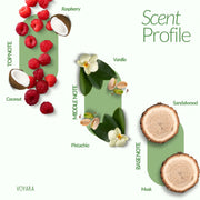 Vanilla Lagoon fragrance duo